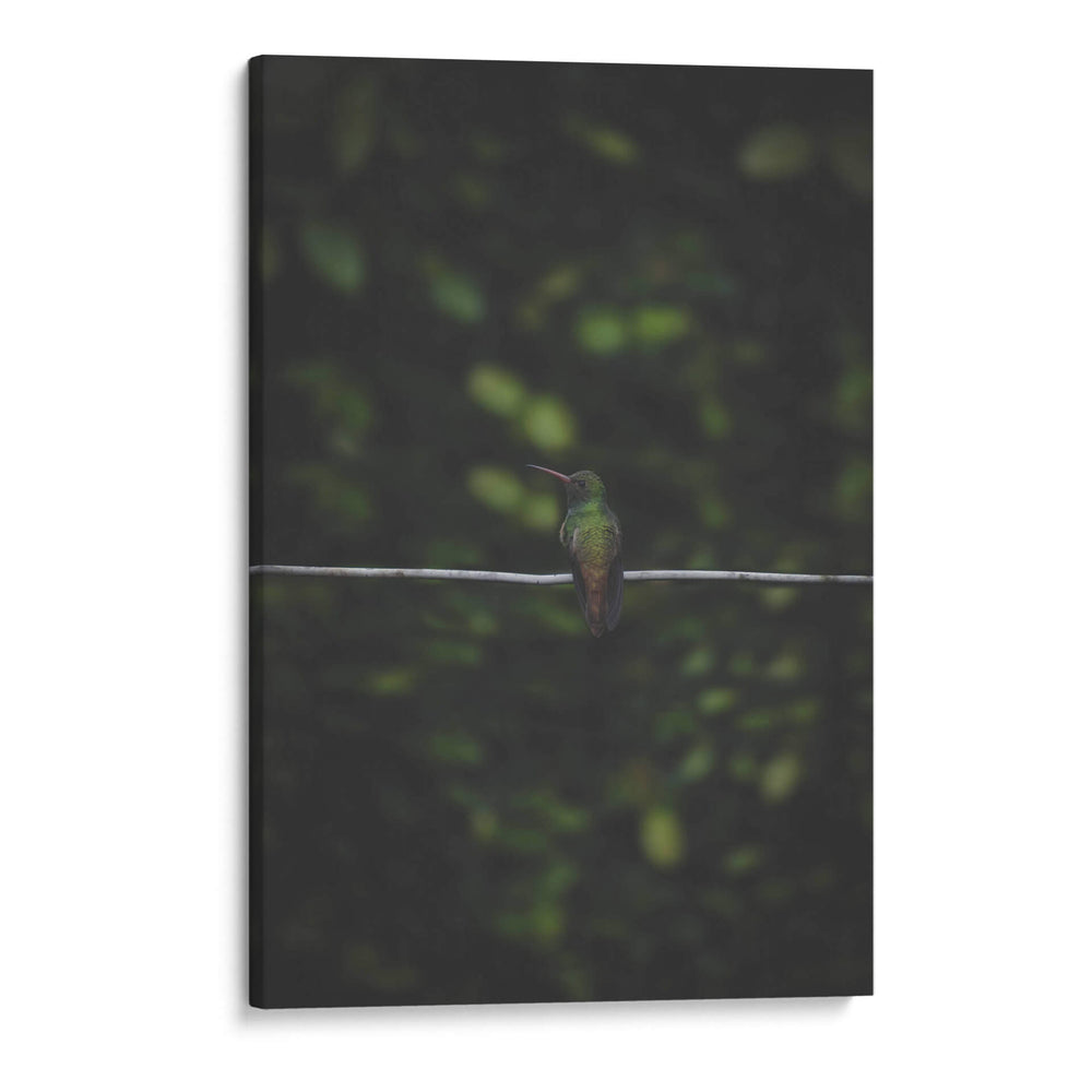 Inocente mirada - De la Rosa | Cuadro decorativo de Canvas Lab