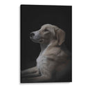 Jeyko - De la Rosa | Cuadro decorativo de Canvas Lab