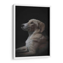 Jeyko - De la Rosa | Cuadro decorativo de Canvas Lab