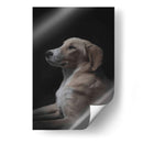 Jeyko - De la Rosa | Cuadro decorativo de Canvas Lab