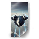 Ave Negra - Creaciones  | Cuadro decorativo de Canvas Lab