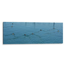 Al Agua Patos - 2HumanKind | Cuadro decorativo de Canvas Lab