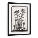 Helechos - Julie de Graag | Cuadro decorativo de Canvas Lab