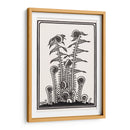 Helechos - Julie de Graag | Cuadro decorativo de Canvas Lab