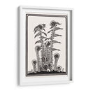 Helechos - Julie de Graag | Cuadro decorativo de Canvas Lab