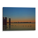 Birds in the Water, Machines in the Sky - 2HumanKind | Cuadro decorativo de Canvas Lab