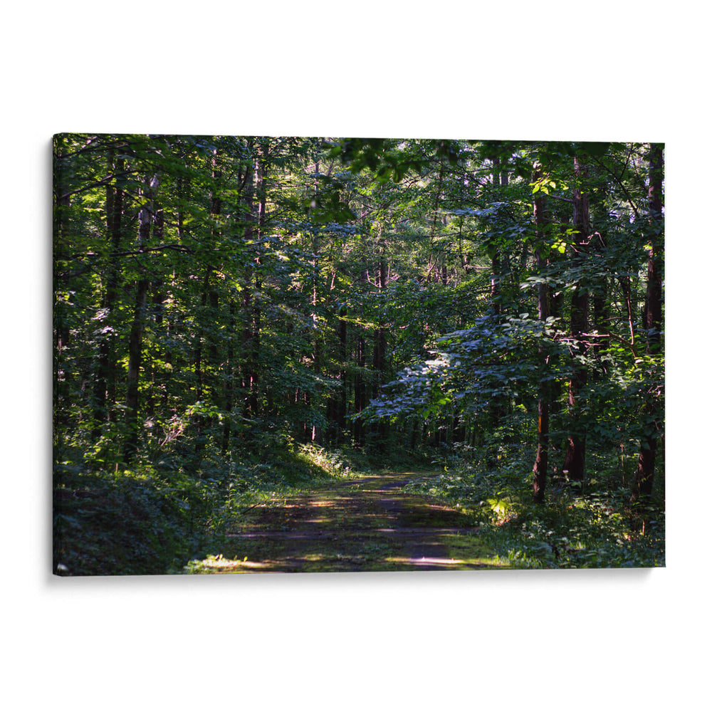 Iwanai Summer Trail (Hidden Hokkaido) - 2HumanKind | Cuadro decorativo de Canvas Lab