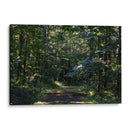 Iwanai Summer Trail (Hidden Hokkaido) - 2HumanKind | Cuadro decorativo de Canvas Lab