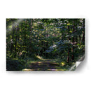 Iwanai Summer Trail (Hidden Hokkaido) - 2HumanKind | Cuadro decorativo de Canvas Lab