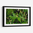 Bambú - 2HumanKind | Cuadro decorativo de Canvas Lab