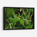 Bambú - 2HumanKind | Cuadro decorativo de Canvas Lab