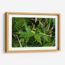 Bambú - 2HumanKind | Cuadro decorativo de Canvas Lab