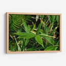 Bambú - 2HumanKind | Cuadro decorativo de Canvas Lab