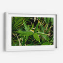 Bambú - 2HumanKind | Cuadro decorativo de Canvas Lab