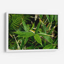 Bambú - 2HumanKind | Cuadro decorativo de Canvas Lab