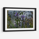 Water Lillies - 2HumanKind | Cuadro decorativo de Canvas Lab