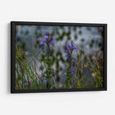 Water Lillies - 2HumanKind | Cuadro decorativo de Canvas Lab