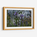 Water Lillies - 2HumanKind | Cuadro decorativo de Canvas Lab