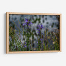 Water Lillies - 2HumanKind | Cuadro decorativo de Canvas Lab