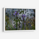 Water Lillies - 2HumanKind | Cuadro decorativo de Canvas Lab