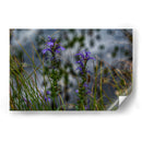 Water Lillies - 2HumanKind | Cuadro decorativo de Canvas Lab