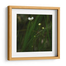 White Flower Close Up - 2HumanKind | Cuadro decorativo de Canvas Lab