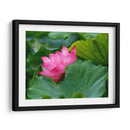 Flor de loto 1 - 2HumanKind | Cuadro decorativo de Canvas Lab