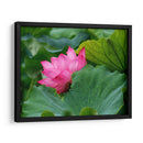 Flor de loto 1 - 2HumanKind | Cuadro decorativo de Canvas Lab