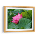 Flor de loto 1 - 2HumanKind | Cuadro decorativo de Canvas Lab