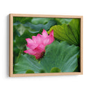 Flor de loto 1 - 2HumanKind | Cuadro decorativo de Canvas Lab