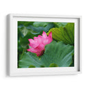 Flor de loto 1 - 2HumanKind | Cuadro decorativo de Canvas Lab