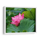 Flor de loto 1 - 2HumanKind | Cuadro decorativo de Canvas Lab