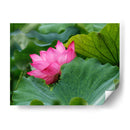 Flor de loto 1 - 2HumanKind | Cuadro decorativo de Canvas Lab