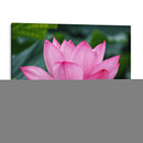 Flor de loto 2 - 2HumanKind | Cuadro decorativo de Canvas Lab