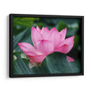 Flor de loto 2 - 2HumanKind | Cuadro decorativo de Canvas Lab