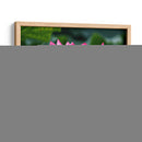 Flor de loto 2 - 2HumanKind | Cuadro decorativo de Canvas Lab