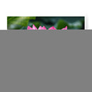 Flor de loto 2 - 2HumanKind | Cuadro decorativo de Canvas Lab