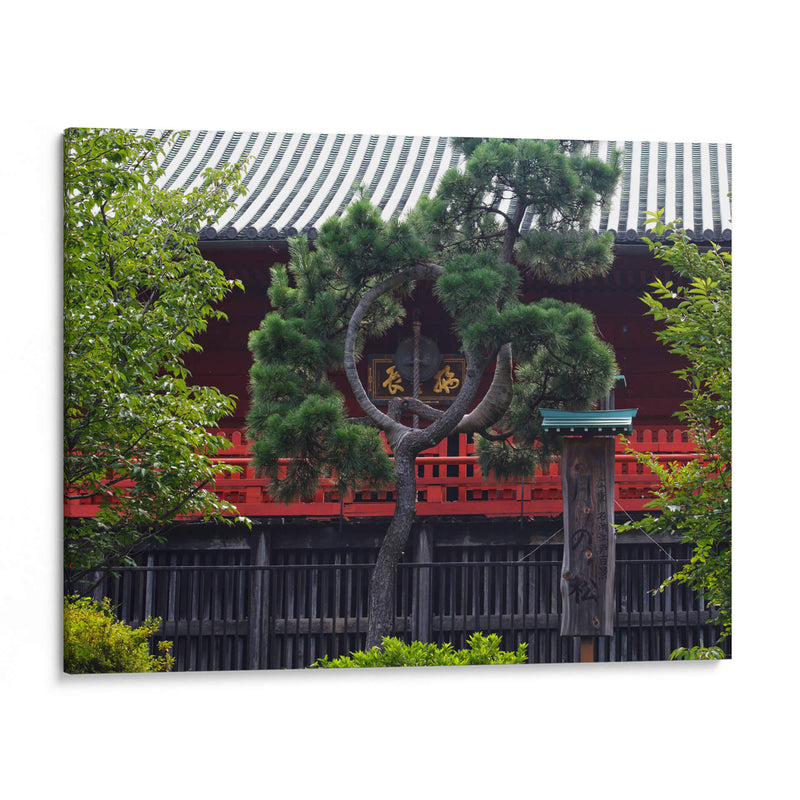 Shrine Through Black Curved Pine - 2HumanKind | Cuadro decorativo de Canvas Lab