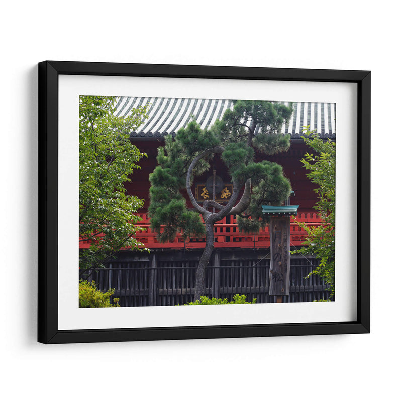 Shrine Through Black Curved Pine - 2HumanKind | Cuadro decorativo de Canvas Lab