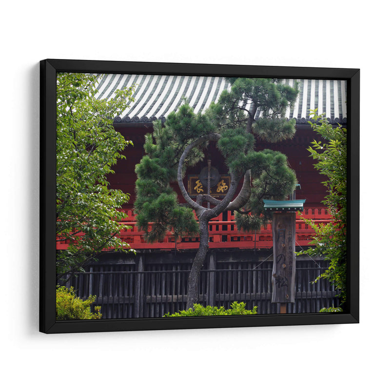 Shrine Through Black Curved Pine - 2HumanKind | Cuadro decorativo de Canvas Lab