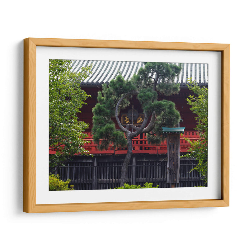 Shrine Through Black Curved Pine - 2HumanKind | Cuadro decorativo de Canvas Lab