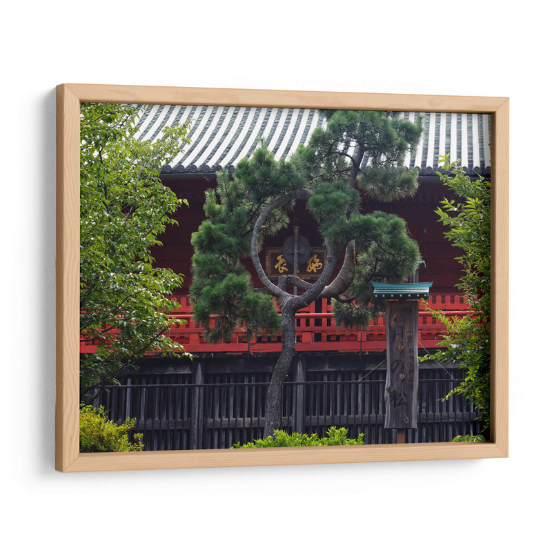 Shrine Through Black Curved Pine - 2HumanKind | Cuadro decorativo de Canvas Lab