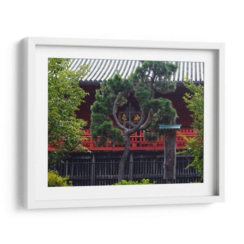 Shrine Through Black Curved Pine - 2HumanKind | Cuadro decorativo de Canvas Lab