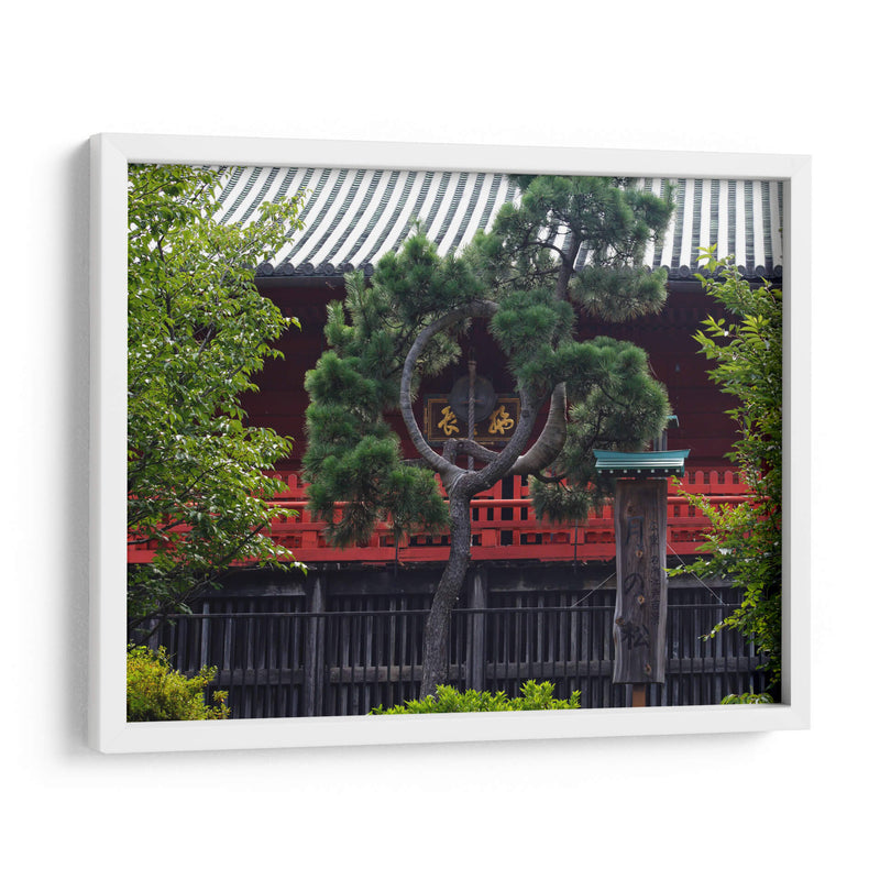 Shrine Through Black Curved Pine - 2HumanKind | Cuadro decorativo de Canvas Lab