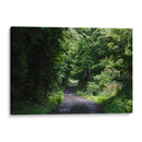 One More Forest Trail  - 2HumanKind | Cuadro decorativo de Canvas Lab
