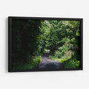 One More Forest Trail  - 2HumanKind | Cuadro decorativo de Canvas Lab