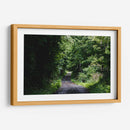 One More Forest Trail  - 2HumanKind | Cuadro decorativo de Canvas Lab