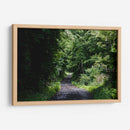 One More Forest Trail  - 2HumanKind | Cuadro decorativo de Canvas Lab