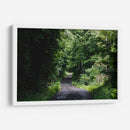 One More Forest Trail  - 2HumanKind | Cuadro decorativo de Canvas Lab