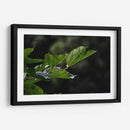 Leafs - 2HumanKind | Cuadro decorativo de Canvas Lab